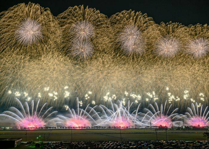 A wall of fireworks at Omagari National Fireworks Competition, appearing almost like a wall of flowers in bloom.